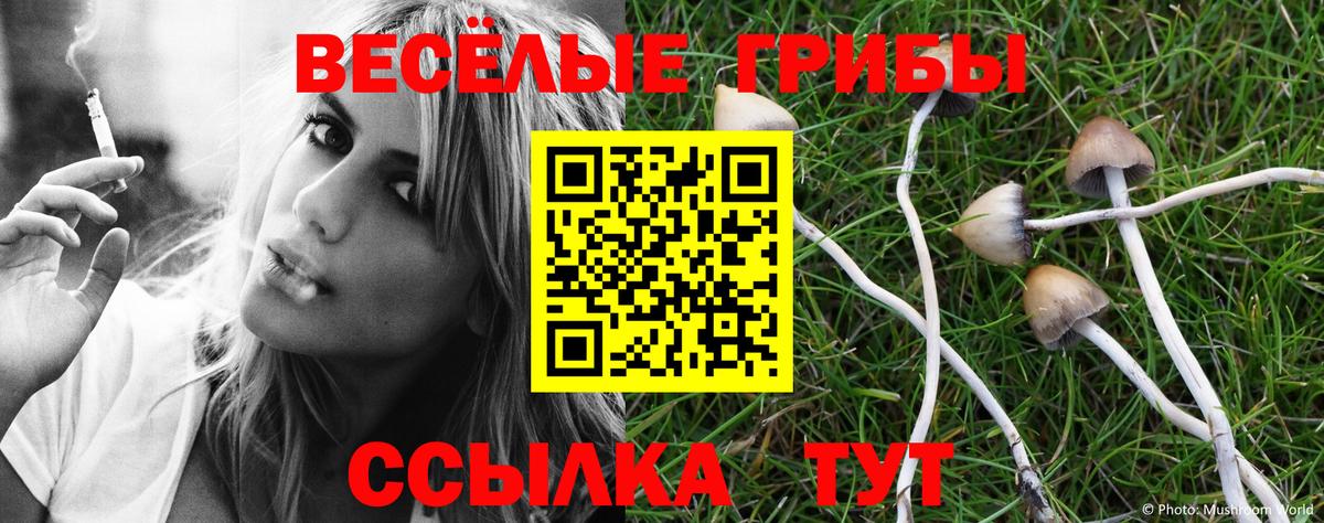 Трёхгорный  Галлюциногенные грибы мицелий  Вход с VPN 