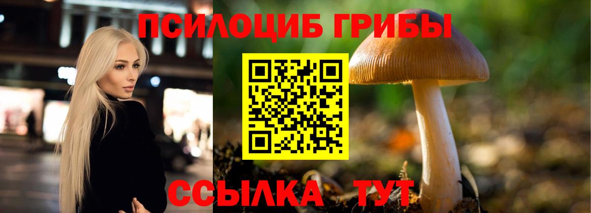 Галлюциногенные грибы Psilocybine cubensis Трёхгорный